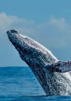 今はまだ、友達のままで…