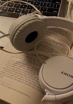 【 irxs 】  irxs の 紅一点 & 姫 .