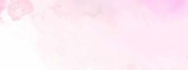 サブ目のココアさんの壁紙画像