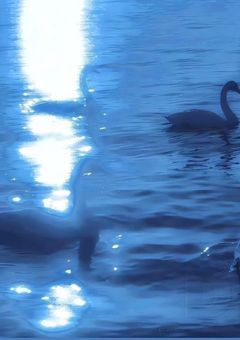 　　@　  港の近くで　_  .　