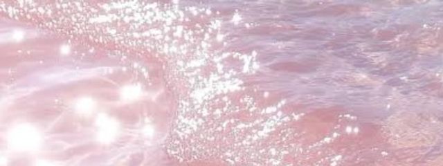 り ー こ 。さんの壁紙画像