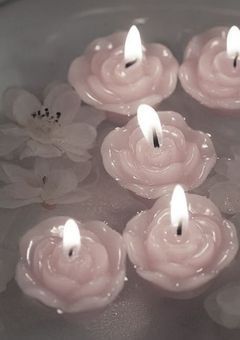 - 𝐢𝐥𝐥𝐮𝐬𝐭 -