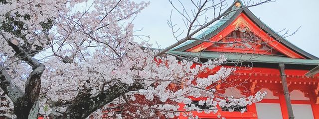 つちのこさんの壁紙画像