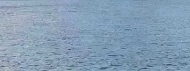 トンビちゃんさんの壁紙画像