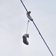 トンビちゃんさんのアイコン画像