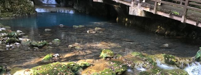 ぐまさんの壁紙画像