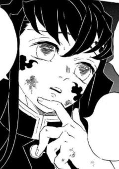 霞柱の継子は記憶力レベルMAX .