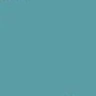 エキゾチックショートヘアさんのアイコン画像