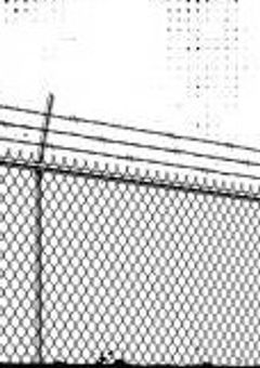 僕は君を誘拐しました。どうして君は幸せそうなんですか？