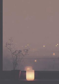 今日好きになりました　’　ニュージーランド編