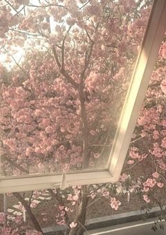 ซินเดอเรลล่า　การพูด