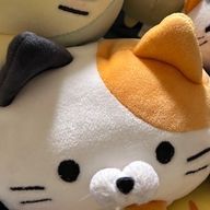 おはよさんのアイコン画像