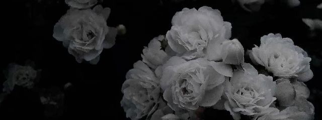 soa．さんの壁紙画像