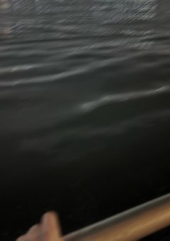 不快な感情共有