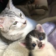 ふぃるさんのアイコン画像