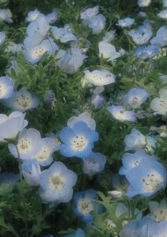 衝動には抗えない