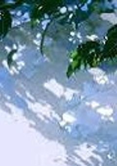 kyng' 死にたい私と視えないキミ .