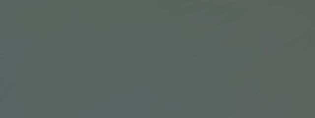 祝うベータさんの壁紙画像