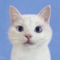 綾 香さんのアイコン画像