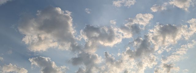 桜エビさんの壁紙画像