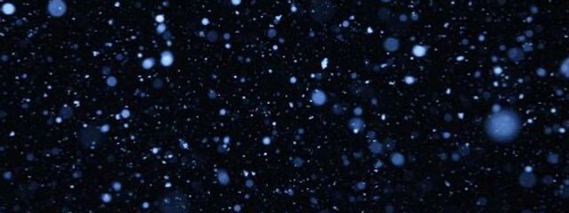 雪兎さんの壁紙画像