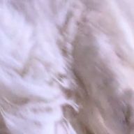 早雲　さんのアイコン画像