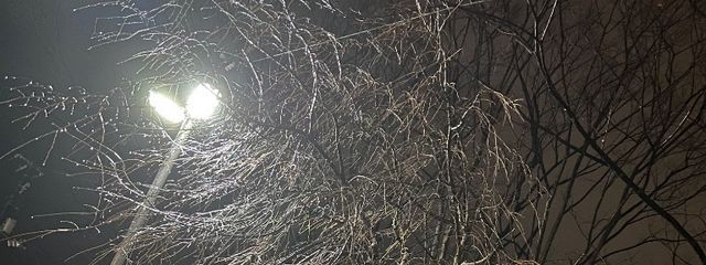 映山べにおさんの壁紙画像