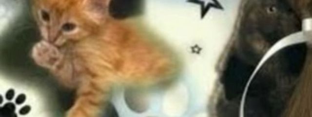 @ynnneさんの壁紙画像