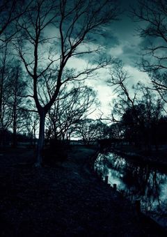 私達はただ君達に着いて行っただけだよ