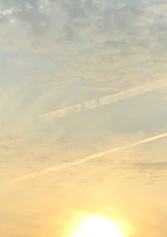 紫陽花色が送る世界の手紙