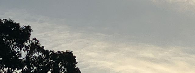 星宮　夢歌　　　活動休止中さんの壁紙画像