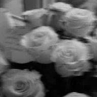 *SHIHO* ( 시호 )さんのアイコン画像