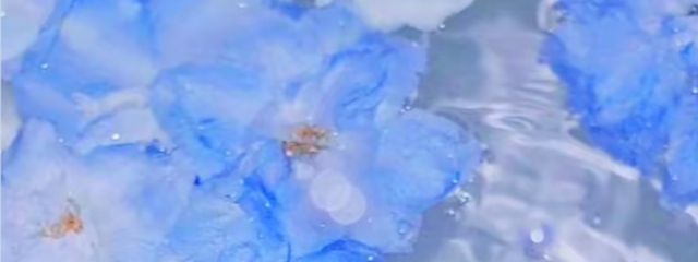 鈴さんの壁紙画像