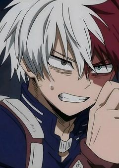 轟家の失敗作、ヒーローが嫌いなようで…