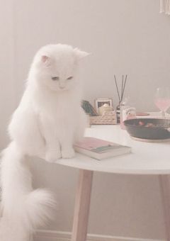 𝚈𝚘𝚞 𝚊𝚛𝚎 𝚗𝚘𝚝 𝚠𝚛𝚘𝚗𝚐. 𝚂𝚙𝚒𝚗 𝚘𝚏 __