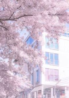 ⋆˚ ୨୧  ̊ ̟ ꒷꒦