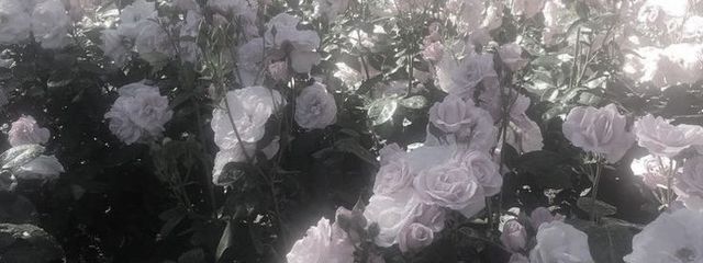 ちま # 太中えぐいさんの壁紙画像