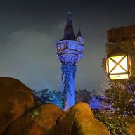 お茶ﾁｬﾝ♡フォロバ💯＠ほぼ無浮上さんのアイコン画像