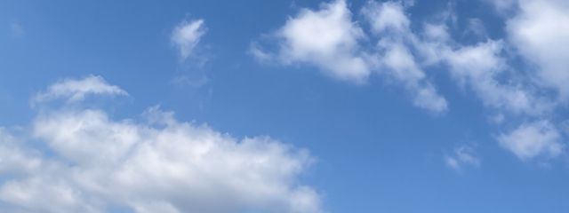 🌿‬さんの壁紙画像
