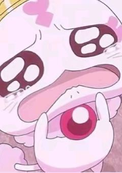 フォローしてください(ᐡ ̥_   ̫ _ ̥ᐡ) ఇ