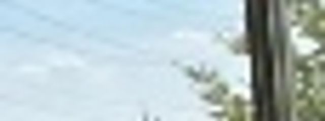 アダさんの壁紙画像