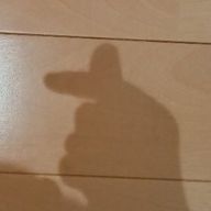 ゆいさん！さんのアイコン画像