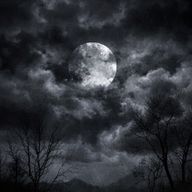 まろん 🖤さんのアイコン画像