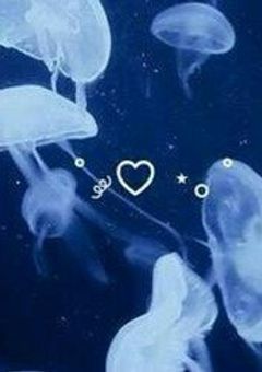 　Tag 🏷𓈒𓏸︎︎︎︎