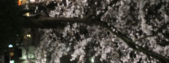 ゆたまあさんの壁紙画像