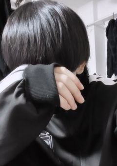 実写部屋