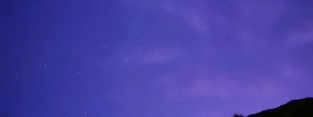 わかめさんの壁紙画像