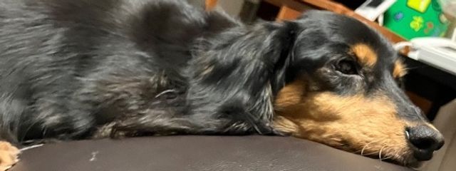 真喜屋さんの壁紙画像