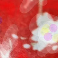 ご本人さんのアイコン画像