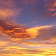 メルさんのアイコン画像